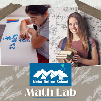 Students doing math